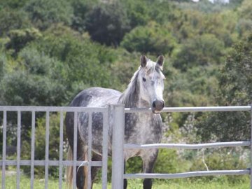 landhotel_sardinie (5)